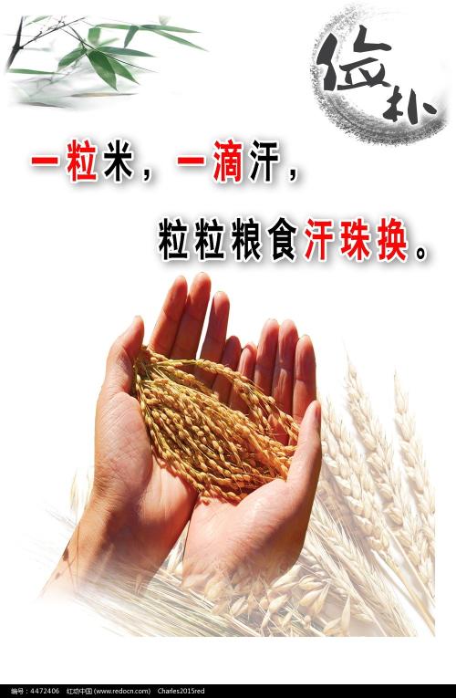 山东外事职业大学本科有学位证书吗?